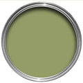 Farrow & Ball Olive