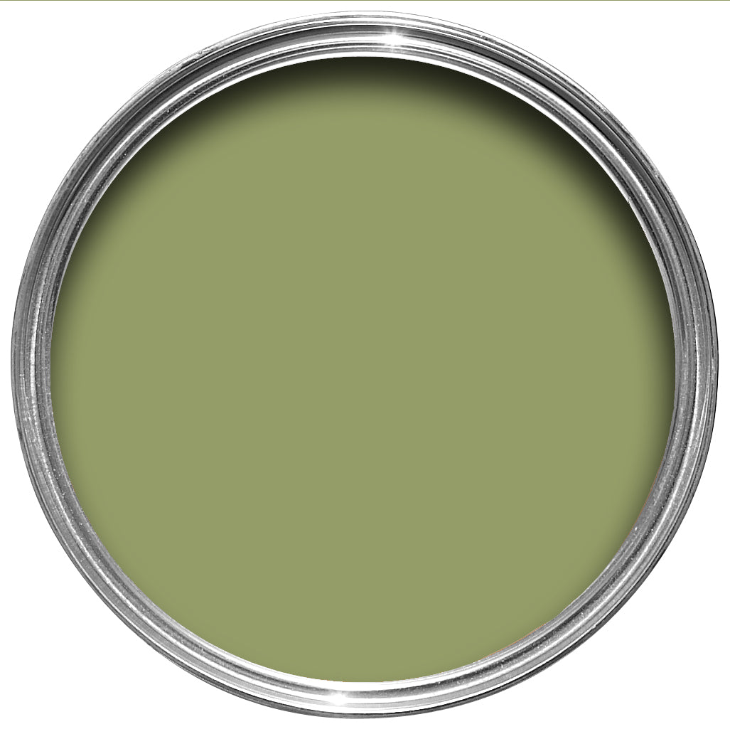 Farrow & Ball Olive