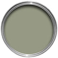 Farrow & Ball Lichen