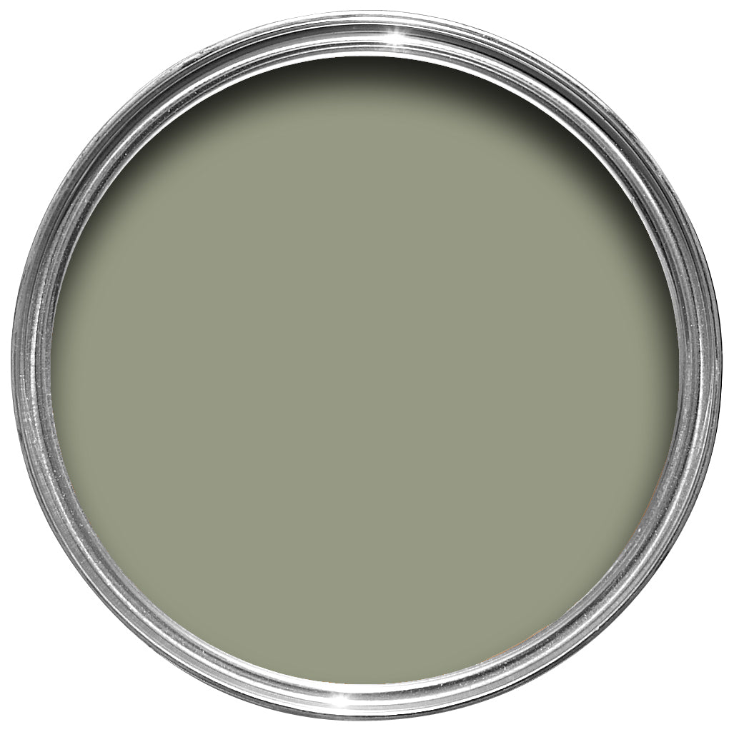 Farrow & Ball Lichen