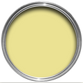 Farrow & Ball Butterweed