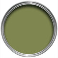 Farrow & Ball Sap Green