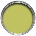 Farrow & Ball Acid Drop